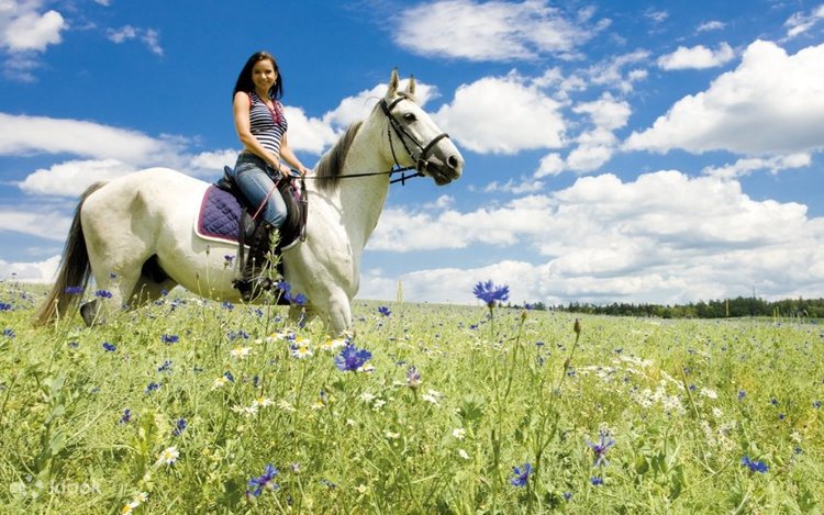 Horseback Riding from Siena